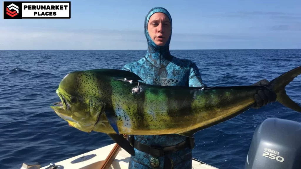 A diver in a wetsuit holding a large fish while out at sea, demonstrating that fishing in San Diego can include underwater and offshore experiences.